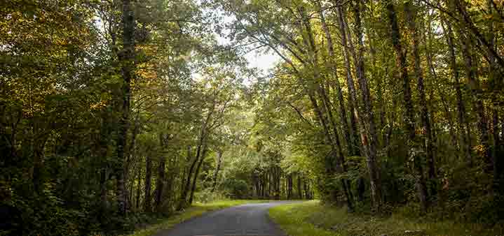 Camping parc Limousin