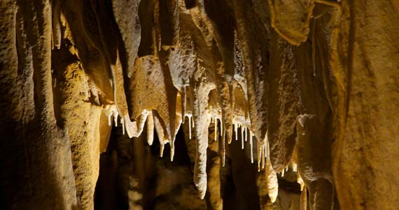 location camping grottes de villars