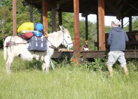 activité camping dordogne