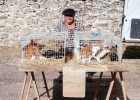 marché traditionnel dordogne