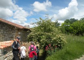 marche dans le parc naturel activité Périgord