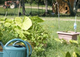 à la ferme camping Périgord activités