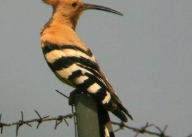 parc naturel dordogne